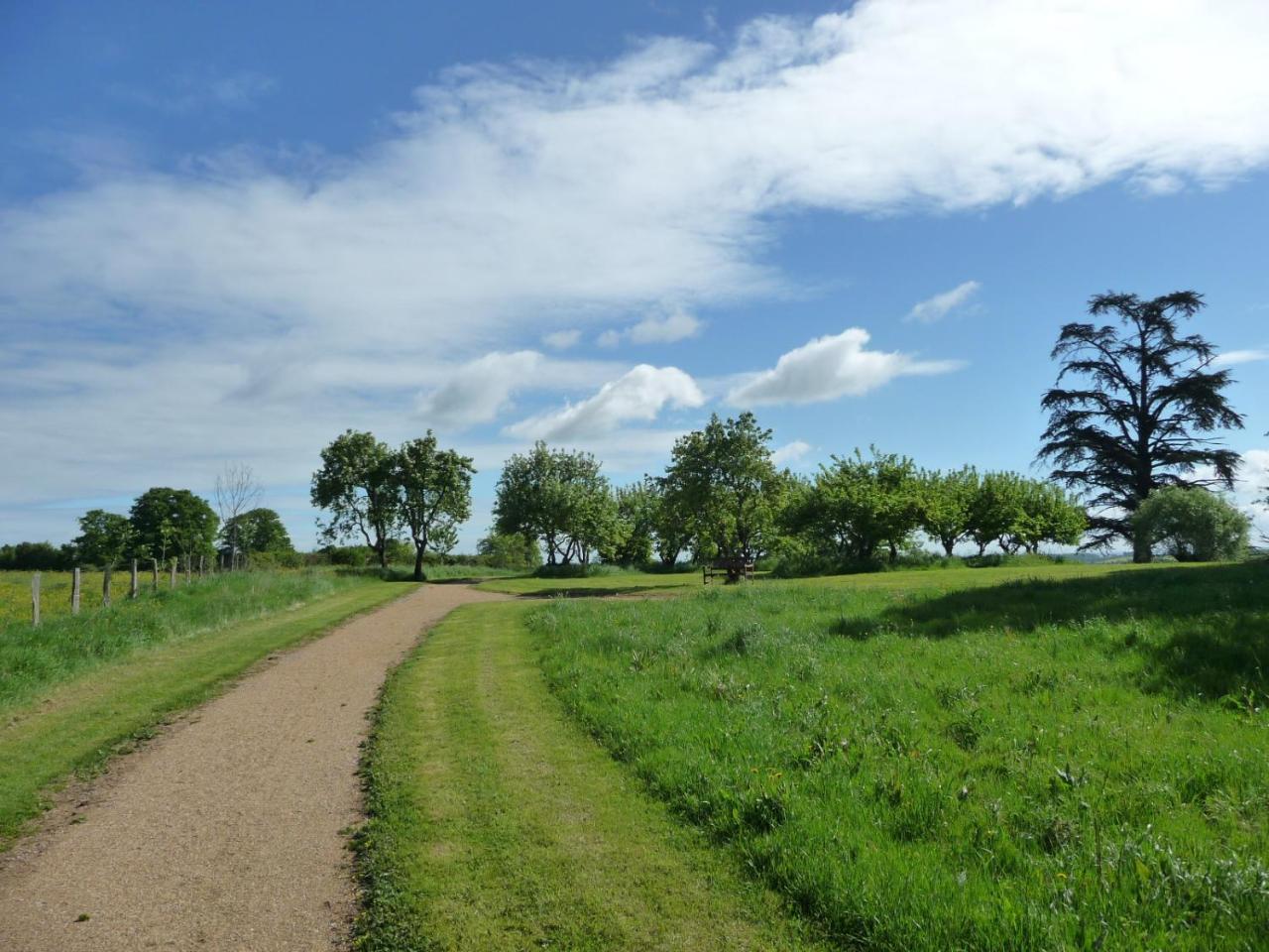 Domaine De Savigny Bed & Breakfast Saint-Saulge Dış mekan fotoğraf