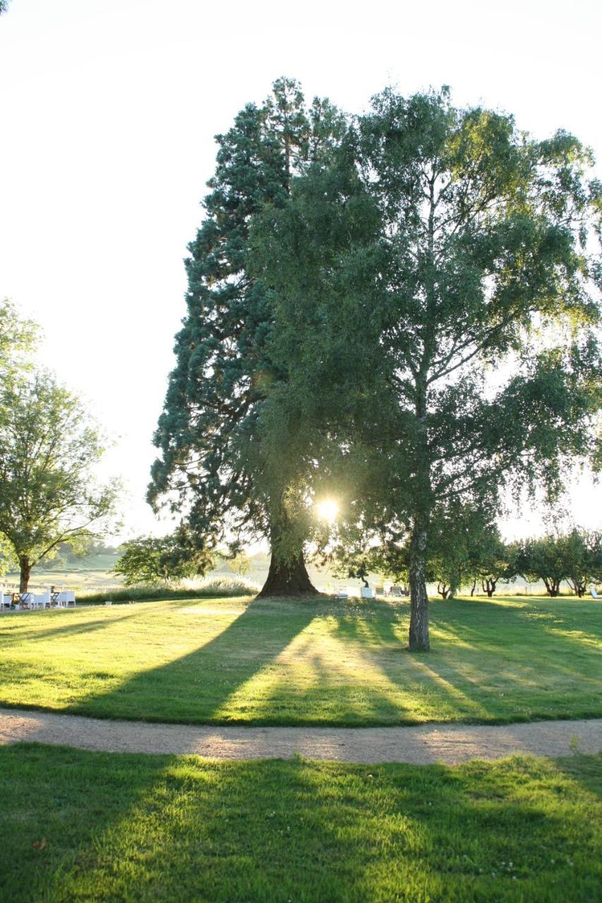 Domaine De Savigny Bed & Breakfast Saint-Saulge Dış mekan fotoğraf