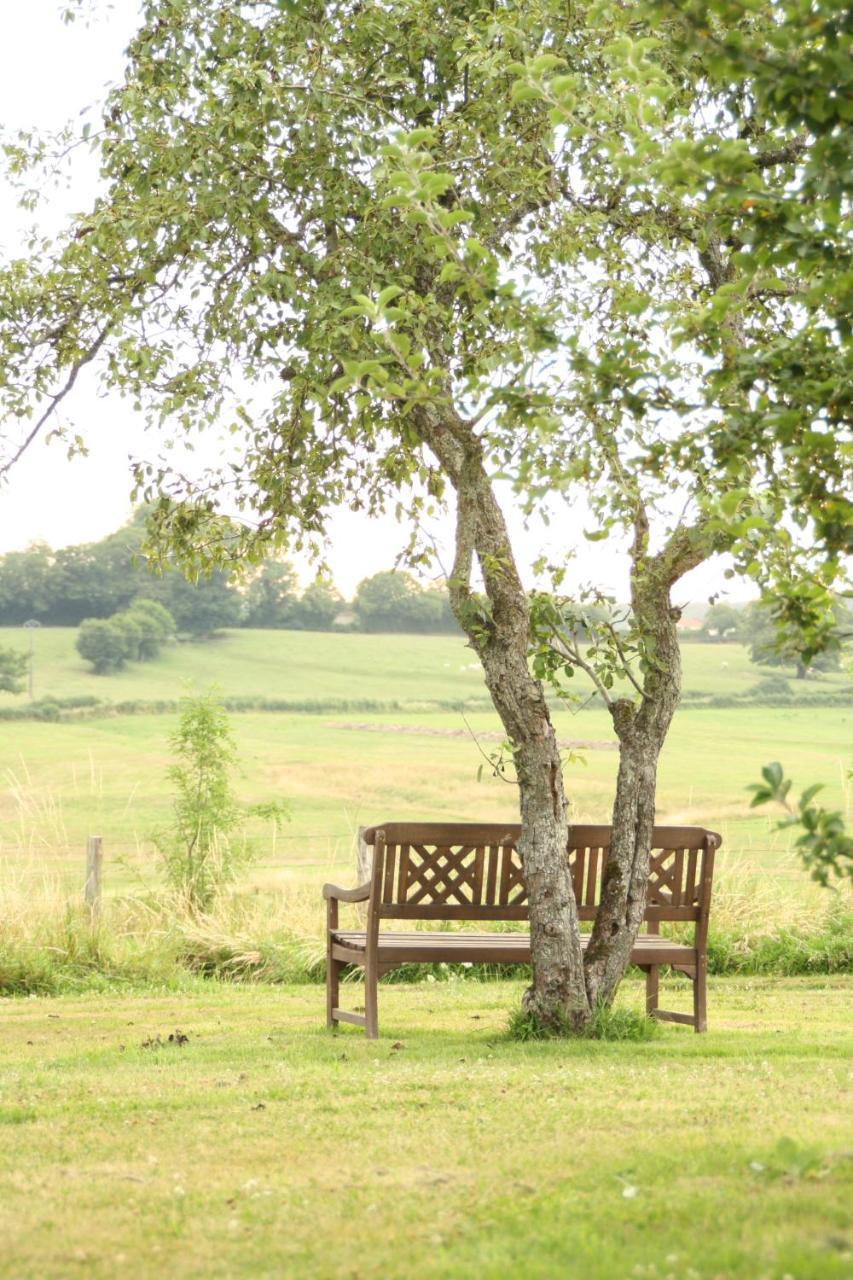 Domaine De Savigny Bed & Breakfast Saint-Saulge Dış mekan fotoğraf